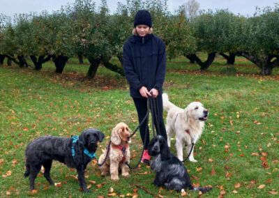 Hundpromenad under hösten