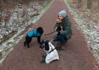 Promenad med hundar i skogen